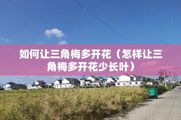 如何让三角梅多开花（怎样让三角梅多开花少长叶）