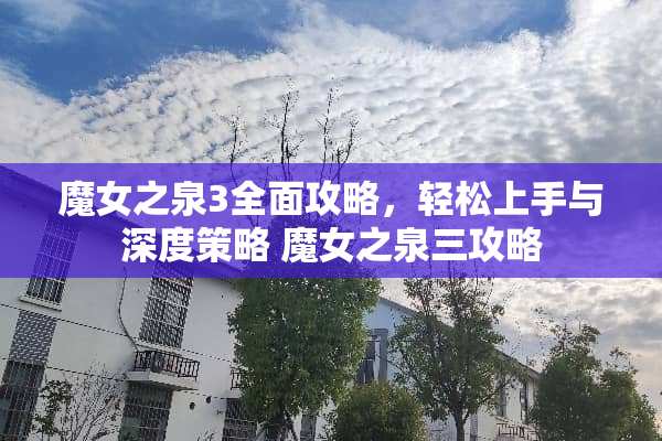 魔女之泉3全面攻略，轻松上手与深度策略 魔女之泉三攻略