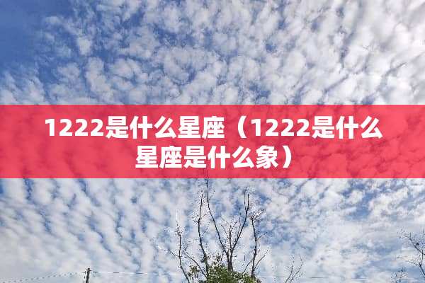 1222是什么星座（1222是什么星座是什么象）