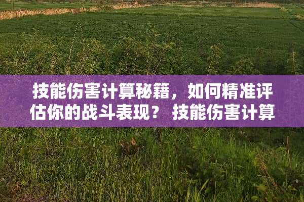 技能伤害计算秘籍，如何精准评估你的战斗表现？ 技能伤害计算
