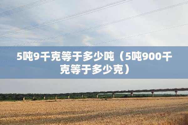 5吨9千克等于多少吨（5吨900千克等于多少克）