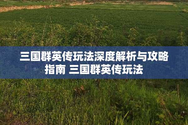 三国群英传玩法深度解析与攻略指南 三国群英传玩法