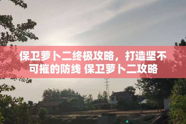 保卫萝卜二终极攻略，打造坚不可摧的防线 保卫萝卜二攻略