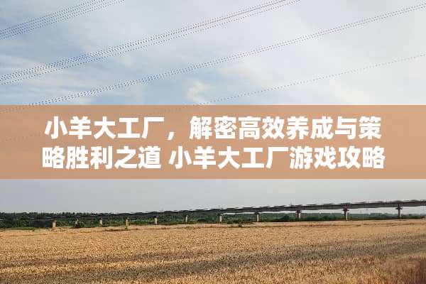 小羊大工厂，解密高效养成与策略胜利之道 小羊大工厂游戏攻略