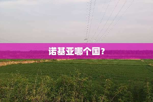 诺基亚哪个国？