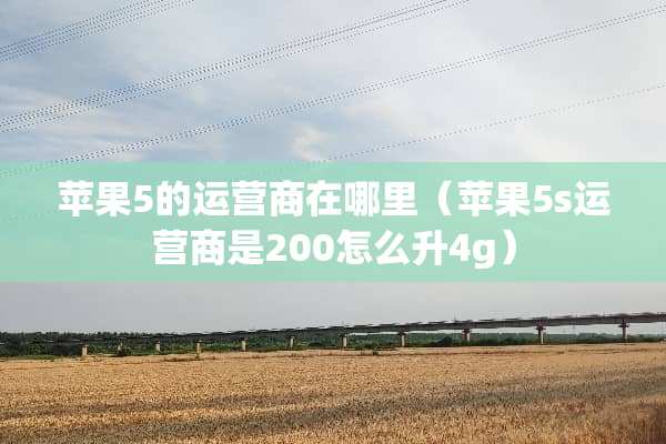 苹果5的运营商在哪里（苹果5s运营商是200怎么升4g）