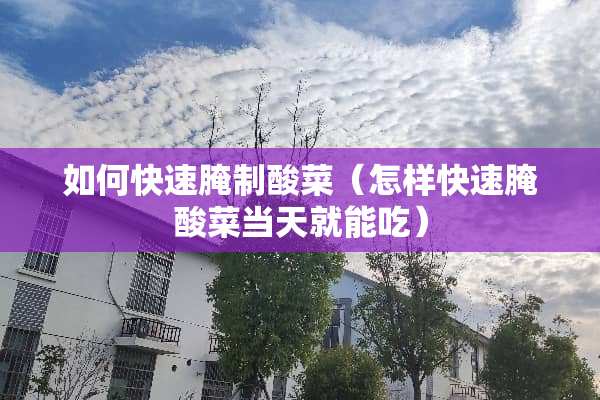 如何快速腌制酸菜（怎样快速腌酸菜当天就能吃）