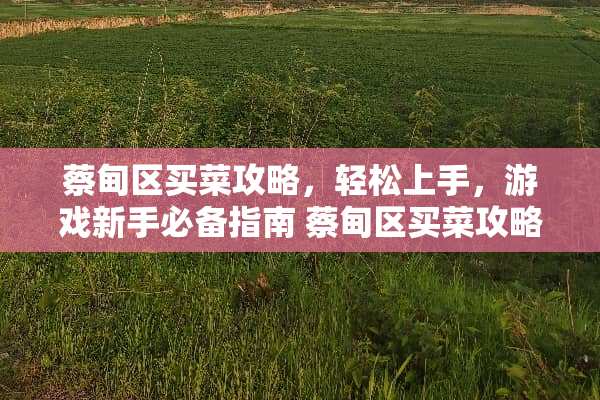 蔡甸区买菜攻略，轻松上手，游戏新手必备指南 蔡甸区买菜攻略游戏