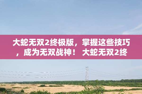 大蛇无双2终极版，掌握这些技巧，成为无双战神！ 大蛇无双2终极版攻略