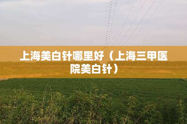 上海美白针哪里好（上海三甲医院美白针）