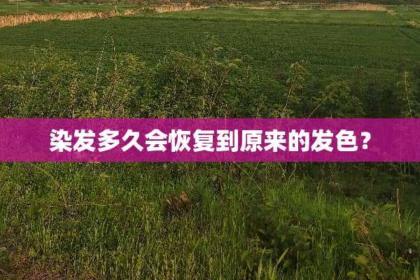 染发多久会恢复到原来的发色？