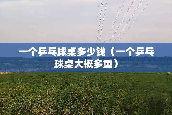 一个乒乓球桌多少钱（一个乒乓球桌大概多重）