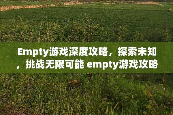 Empty游戏深度攻略，探索未知，挑战无限可能 empty游戏攻略
