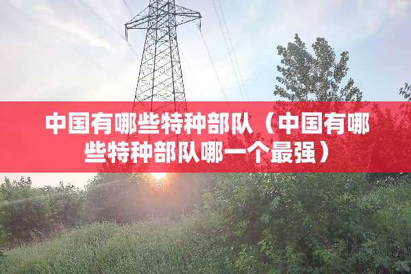 中国有哪些特种**（中国有哪些特种**哪一个最强）