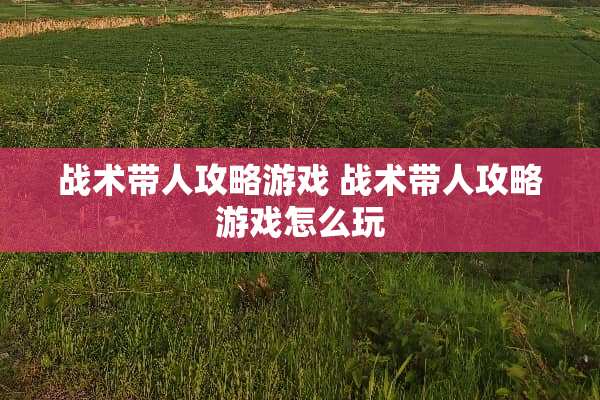 战术带人攻略游戏 战术带人攻略游戏怎么玩