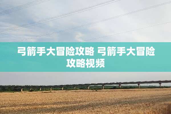 弓箭手大冒险攻略 弓箭手大冒险攻略视频