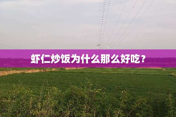 虾仁炒饭为什么那么好吃？