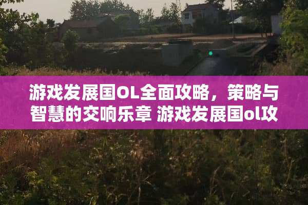 游戏发展国OL全面攻略，策略与智慧的交响乐章 游戏发展国ol攻略