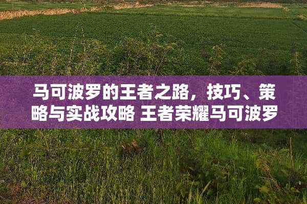 马可波罗的王者之路，技巧、策略与实战攻略 王者荣耀马可波罗玩法