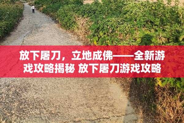 放下屠刀，立地成佛——全新游戏攻略揭秘 放下屠刀游戏攻略