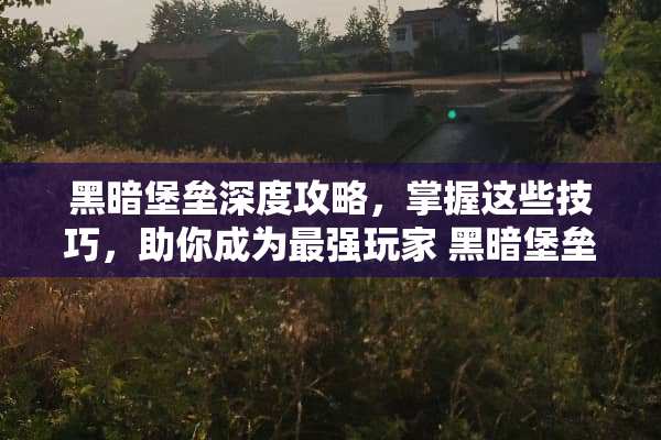 黑暗堡垒深度攻略，掌握这些技巧，助你成为最强玩家 黑暗堡垒攻略