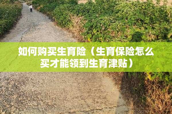 如何购买生育险（生育保险怎么买才能领到生育津贴）