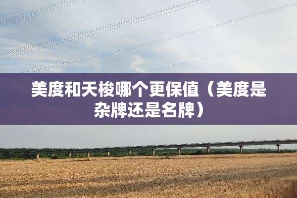美度和天梭哪个更保值（美度是杂牌还是名牌）