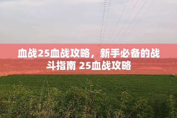 血战25血战攻略，新手必备的战斗指南 25血战攻略