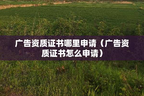广告资质证书哪里申请（广告资质证书怎么申请）