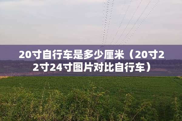 20寸自行车是多少厘米（20寸22寸24寸图片对比自行车）