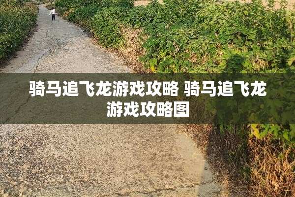 骑马追飞龙游戏攻略 骑马追飞龙游戏攻略图