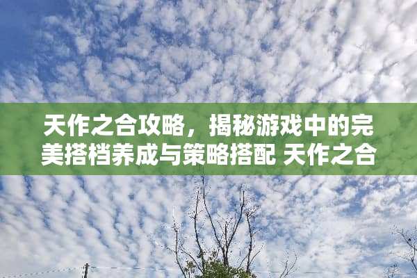 天作之合攻略，揭秘游戏中的完美搭档养成与策略搭配 天作之合攻略