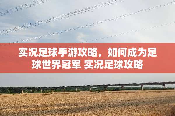 实况**手游攻略，如何成为**世界冠军 实况**攻略
