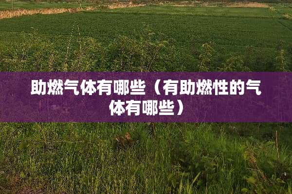 助燃气体有哪些（有助燃性的气体有哪些）