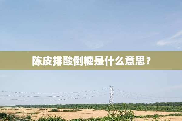 陈皮排酸倒糖是什么意思？