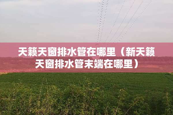 天籁天窗排水管在哪里（新天籁天窗排水管末端在哪里）