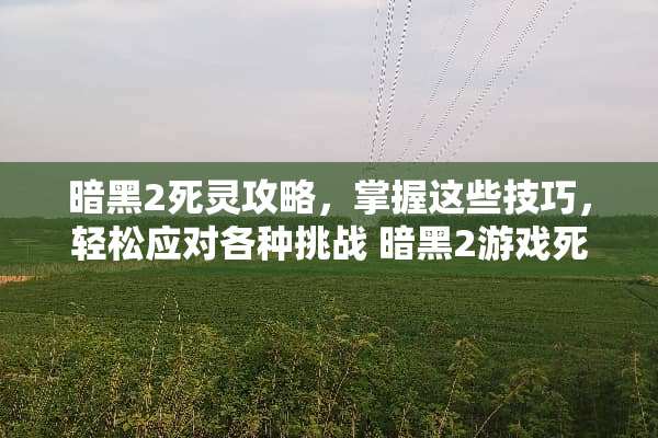 暗黑2死灵攻略，掌握这些技巧，轻松应对各种挑战 暗黑2游戏死灵攻略中文