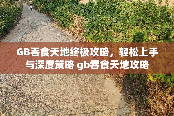 GB吞食天地终极攻略，轻松上手与深度策略 gb吞食天地攻略