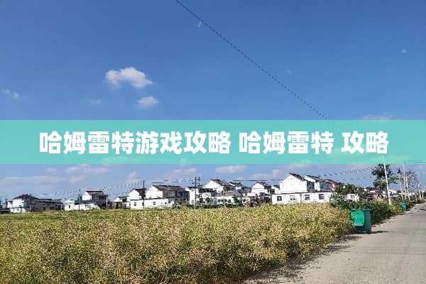 哈姆雷特游戏攻略 哈姆雷特 攻略