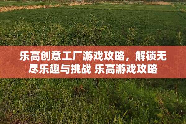 乐高创意工厂游戏攻略，解锁无尽乐趣与挑战 乐高游戏攻略