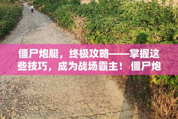 僵尸*艇，终极攻略——掌握这些技巧，成为战场霸主！ 僵尸*艇攻略