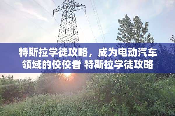 特斯拉学徒攻略，成为电动汽车领域的佼佼者 特斯拉学徒攻略