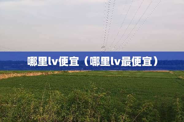 哪里lv便宜（哪里lv最便宜）