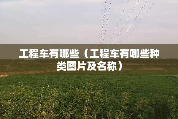 工程车有哪些（工程车有哪些种类图片及名称）