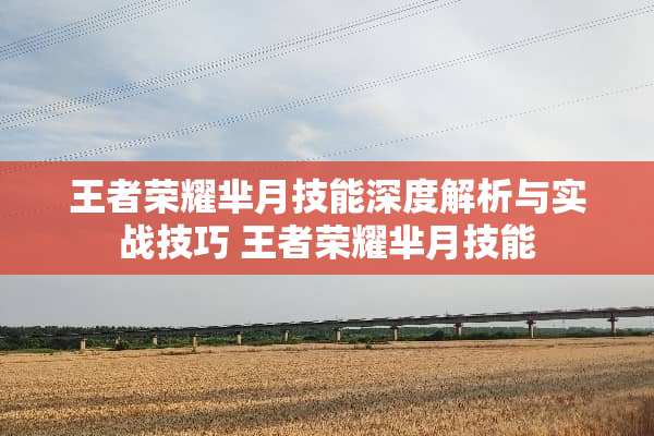 王者荣耀芈月技能深度解析与实战技巧 王者荣耀芈月技能