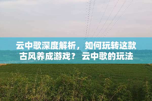 云中歌深度解析，如何玩转这款古风养成游戏？ 云中歌的玩法