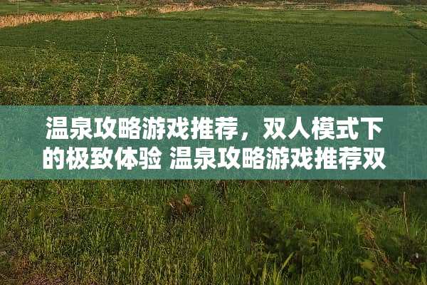 温泉攻略游戏推荐，双人模式下的极致体验 温泉攻略游戏推荐双人