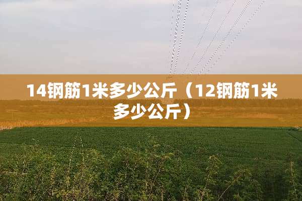 14钢筋1米多少公斤（12钢筋1米多少公斤）