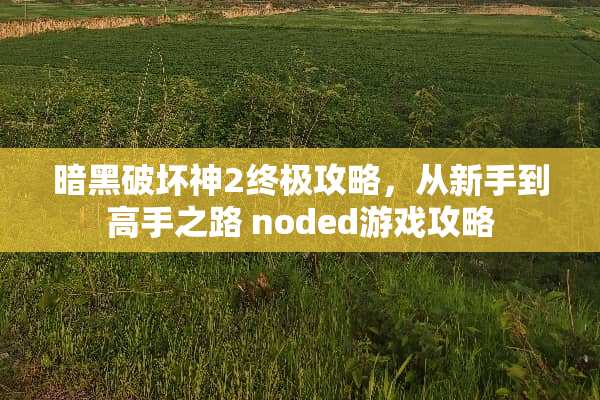 暗黑破坏神2终极攻略，从新手到高手之路 noded游戏攻略