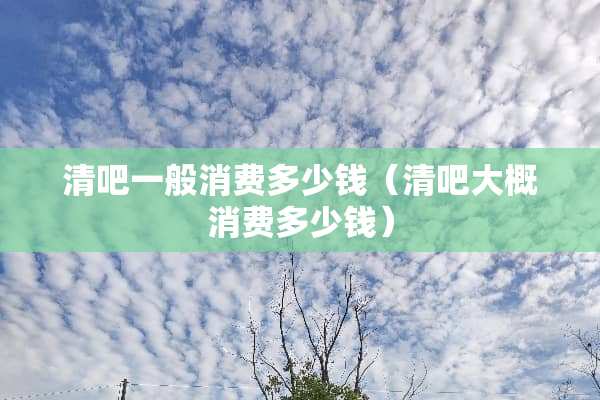 清吧一般消费多少钱（清吧大概消费多少钱）